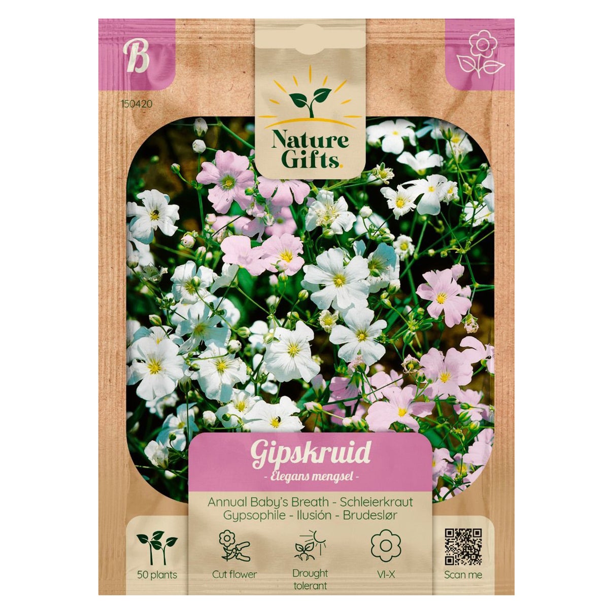 Gipskruiden Elegans mix Gipskruiden Elegans mix