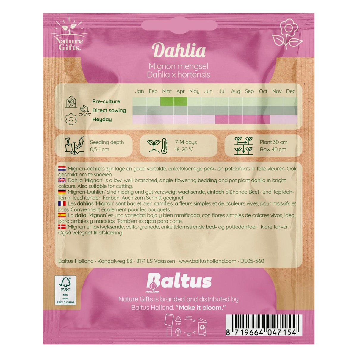Dahlia mignon mix Dahlia mignon mix