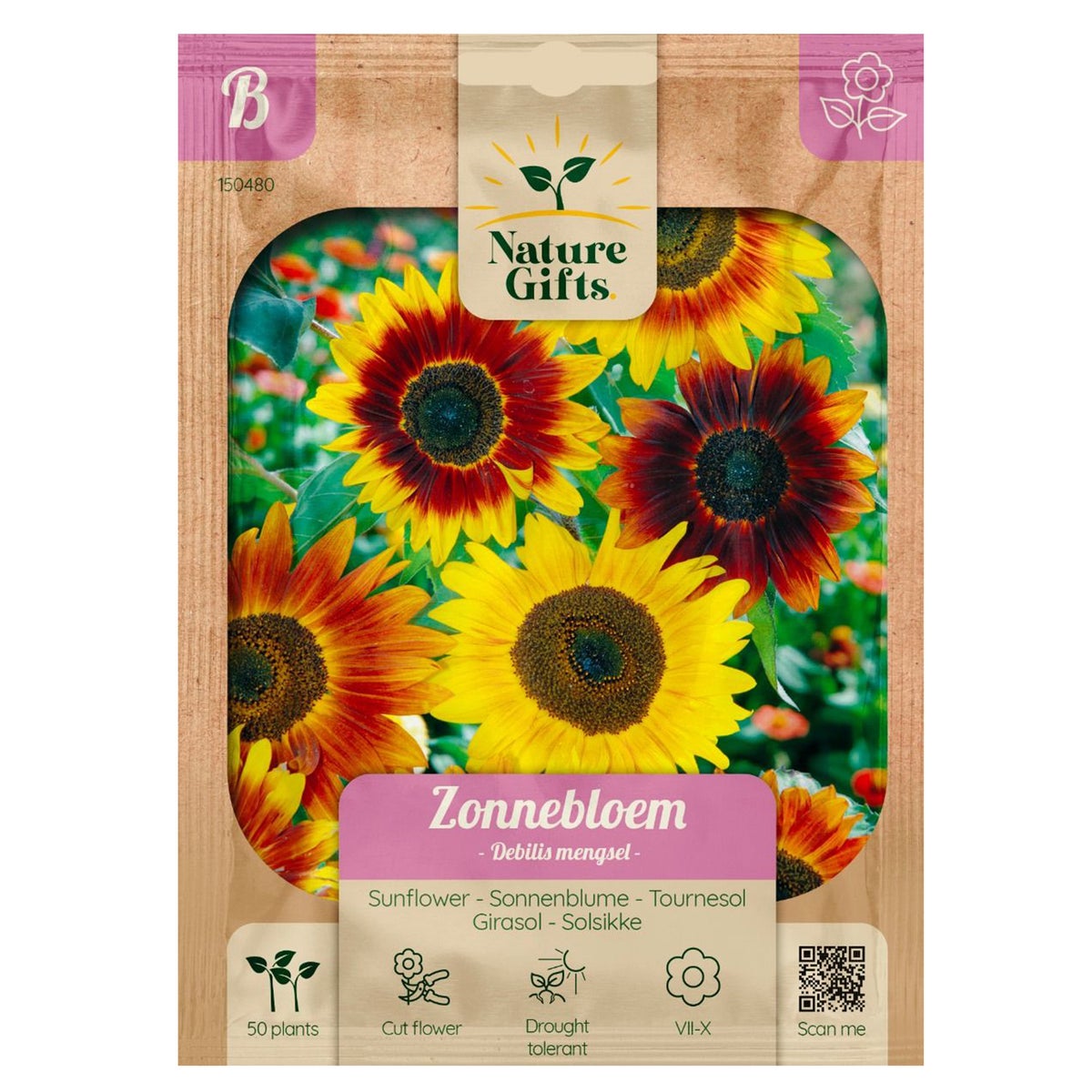 Zonnebloemen Debilis mix Zonnebloemen Debilis mix