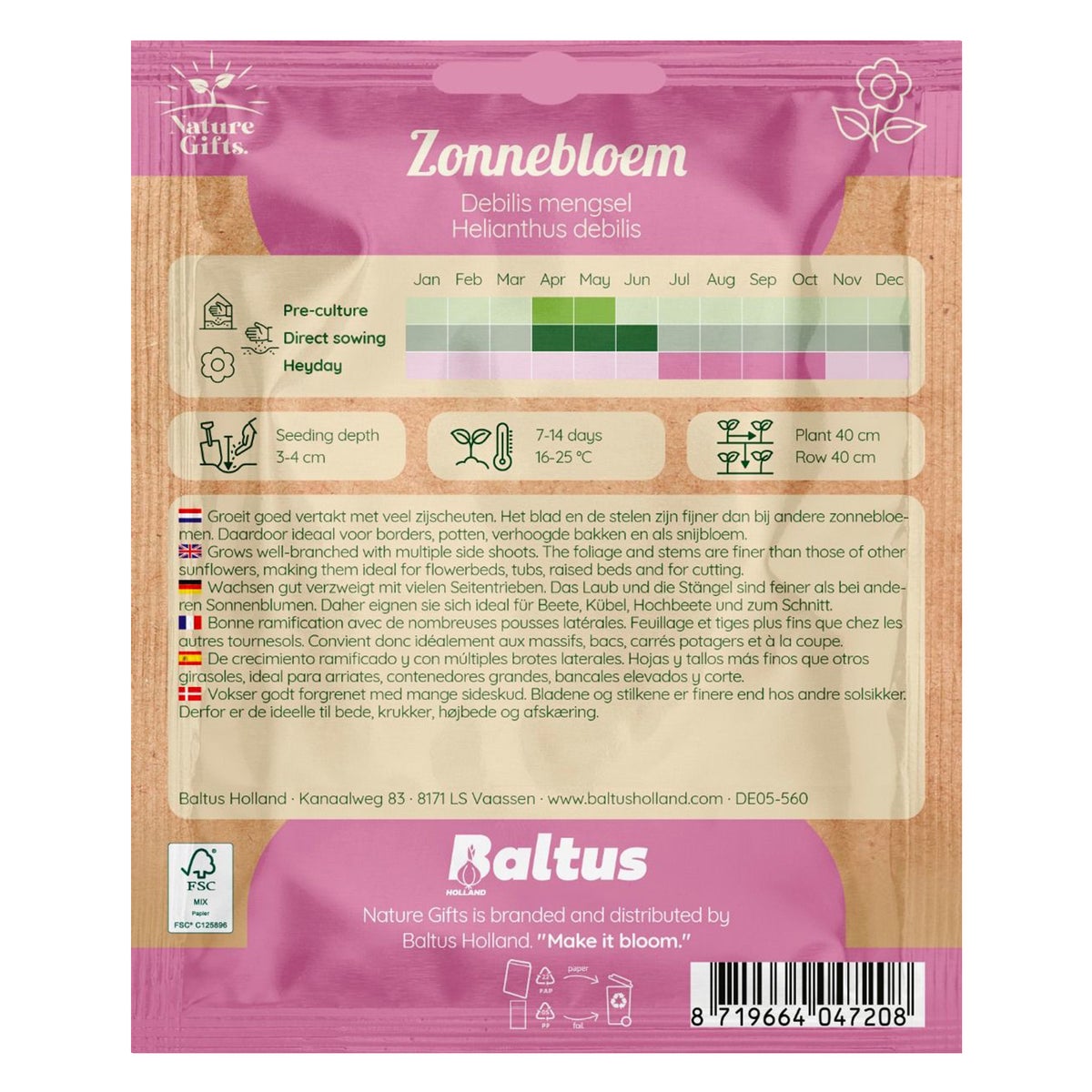 Zonnebloemen Debilis mix Zonnebloemen Debilis mix