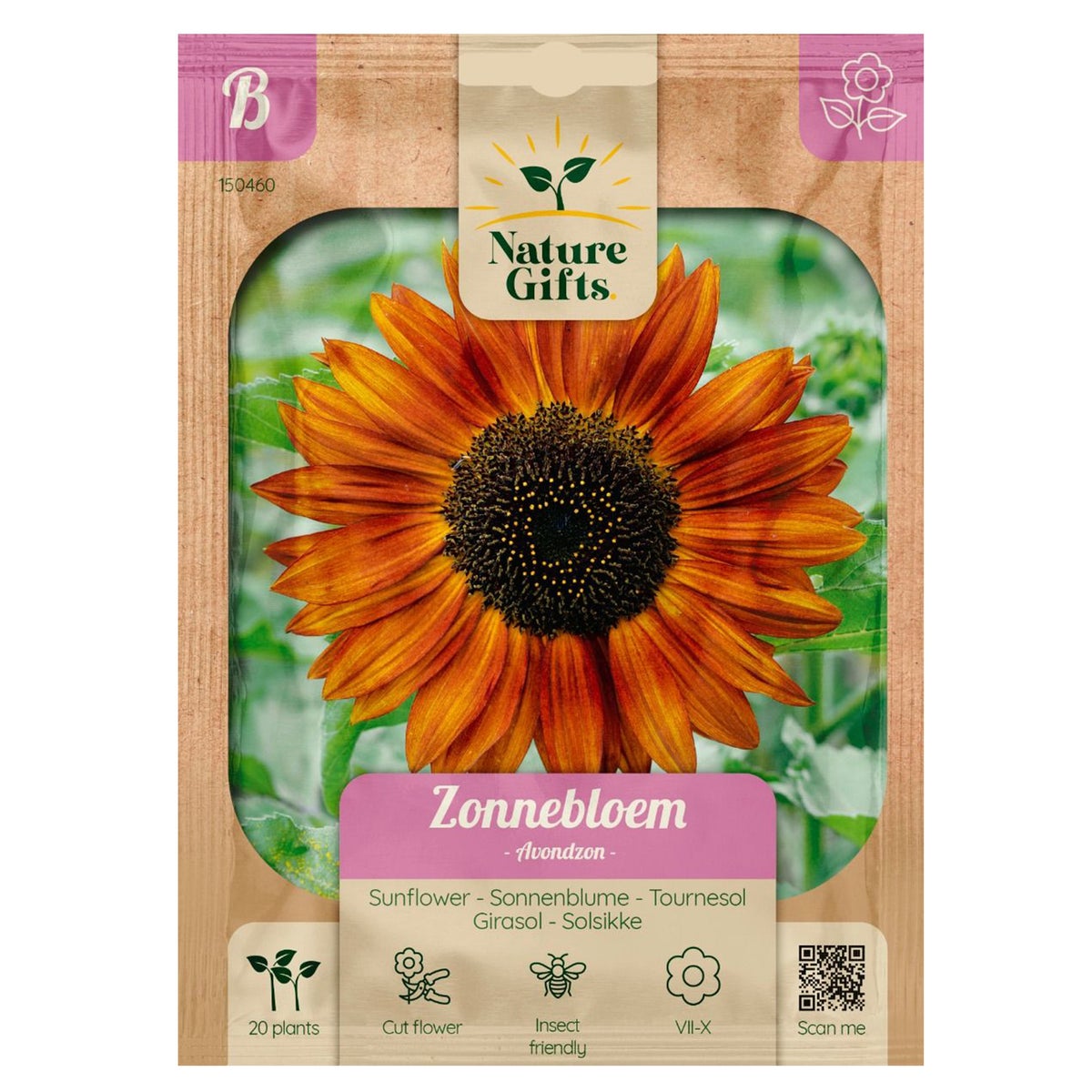 Zonnebloemen avondzon Zonnebloemen avondzon