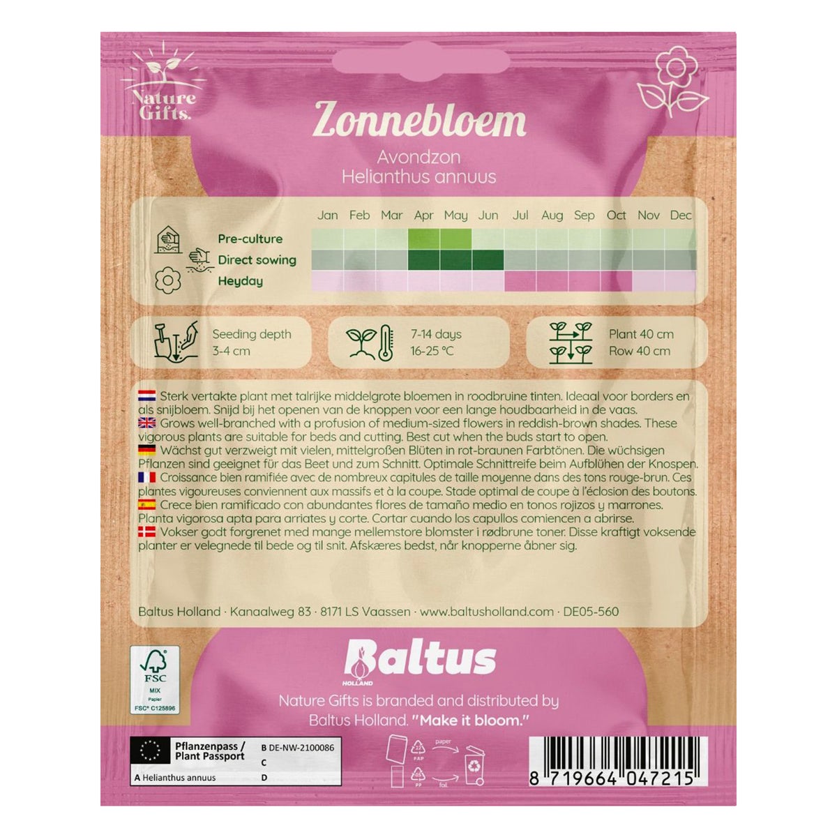 Zonnebloemen avondzon Zonnebloemen avondzon