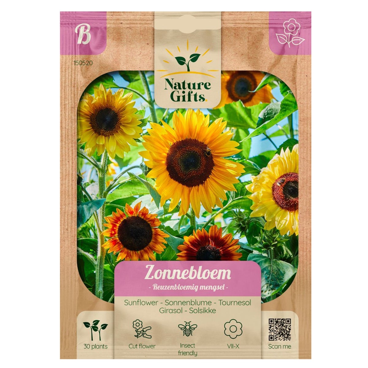 Zonnebloemen reuzebloem mix Zonnebloemen reuzebloem mix