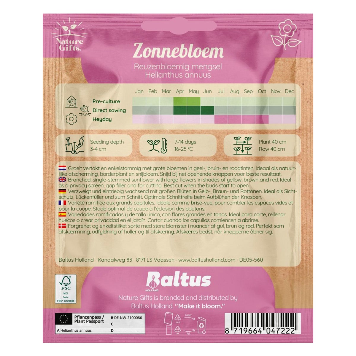 Zonnebloemen reuzebloem mix Zonnebloemen reuzebloem mix