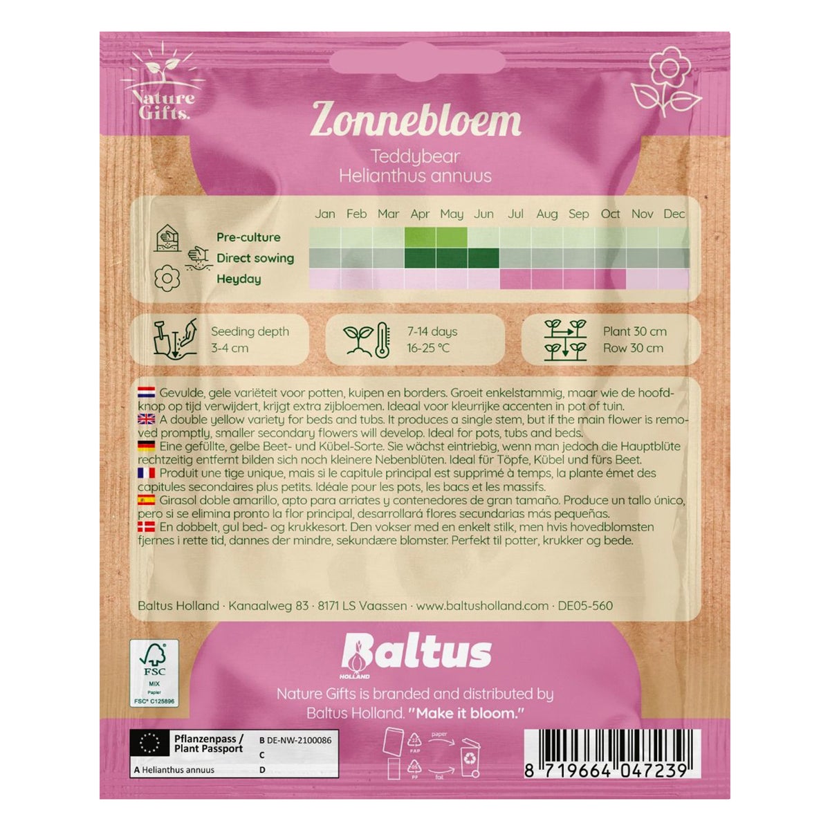 Zonnebloemen Teddybear Zonnebloemen Teddybear