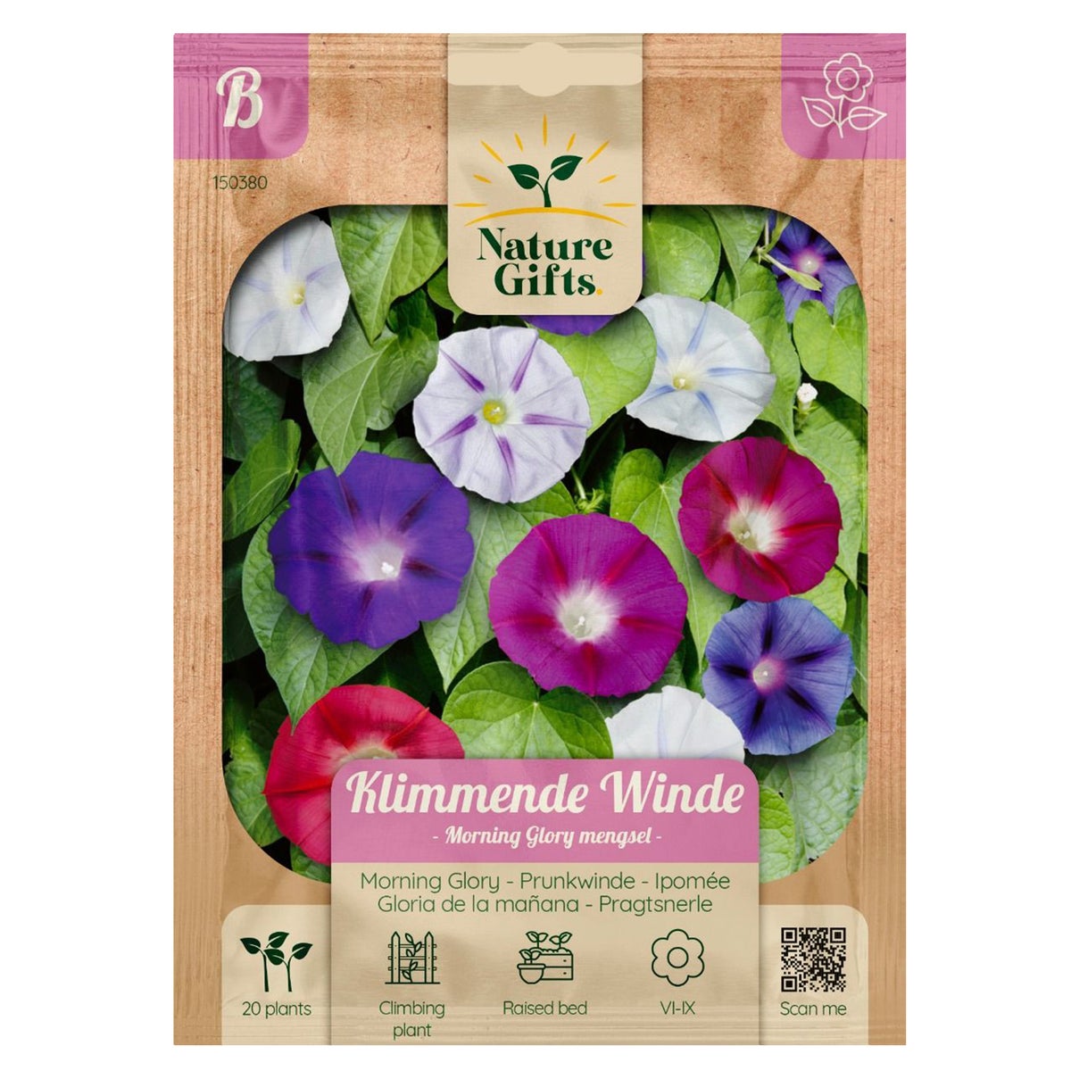Winde klimmend morning glory mix Winde klimmend morning glory mix