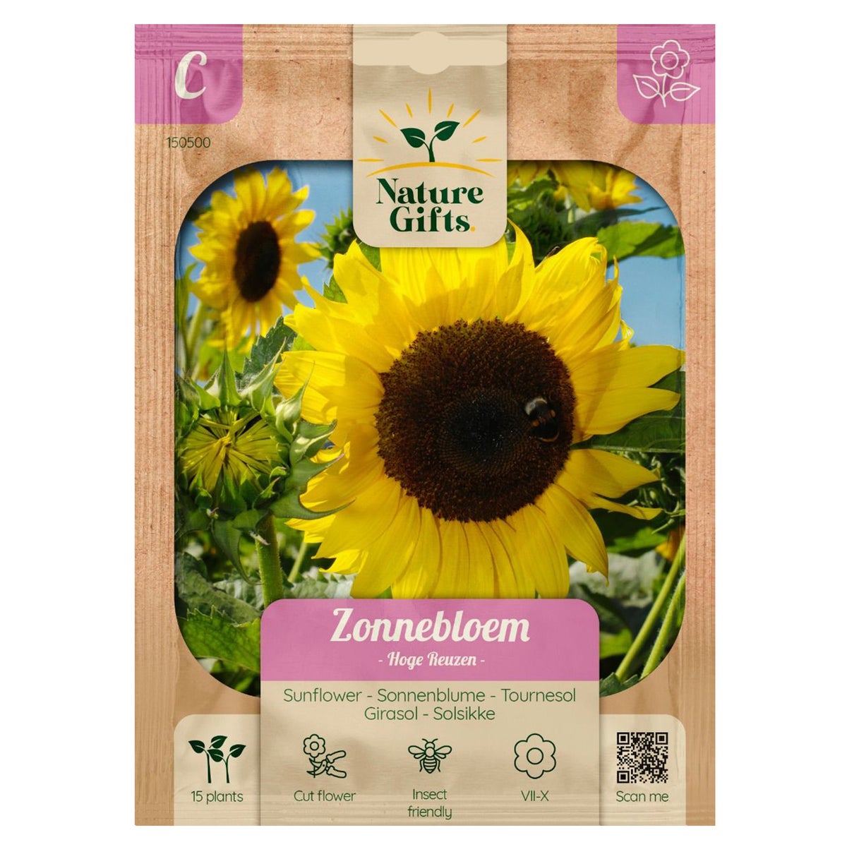 Zonnebloemen hoge reuzen Zonnebloemen hoge reuzen