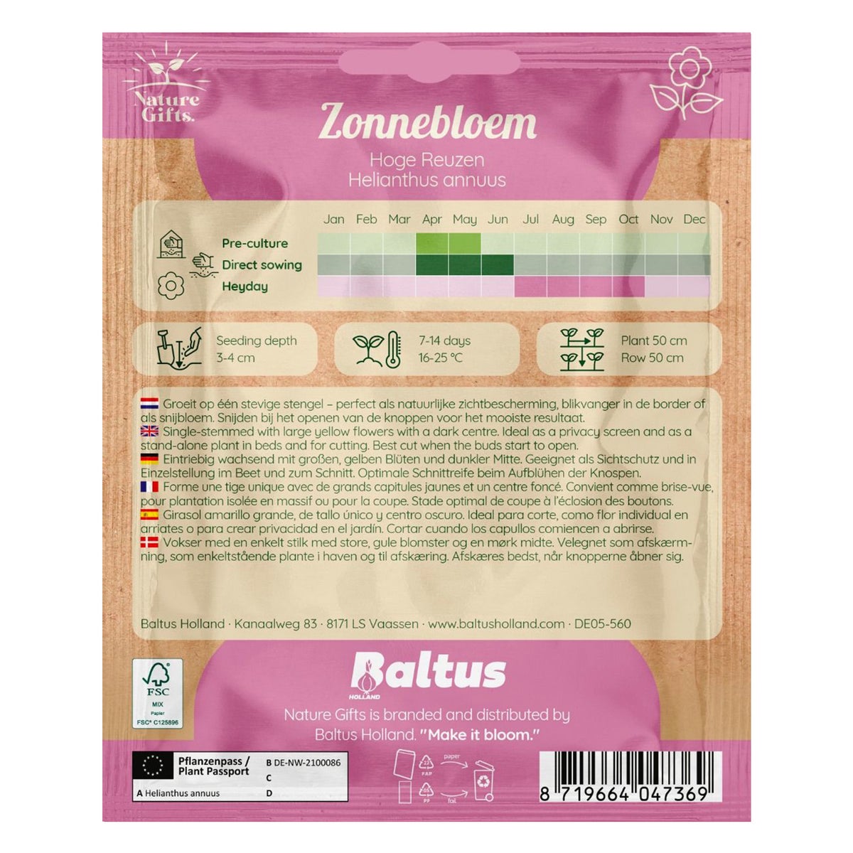 Zonnebloemen hoge reuzen Zonnebloemen hoge reuzen