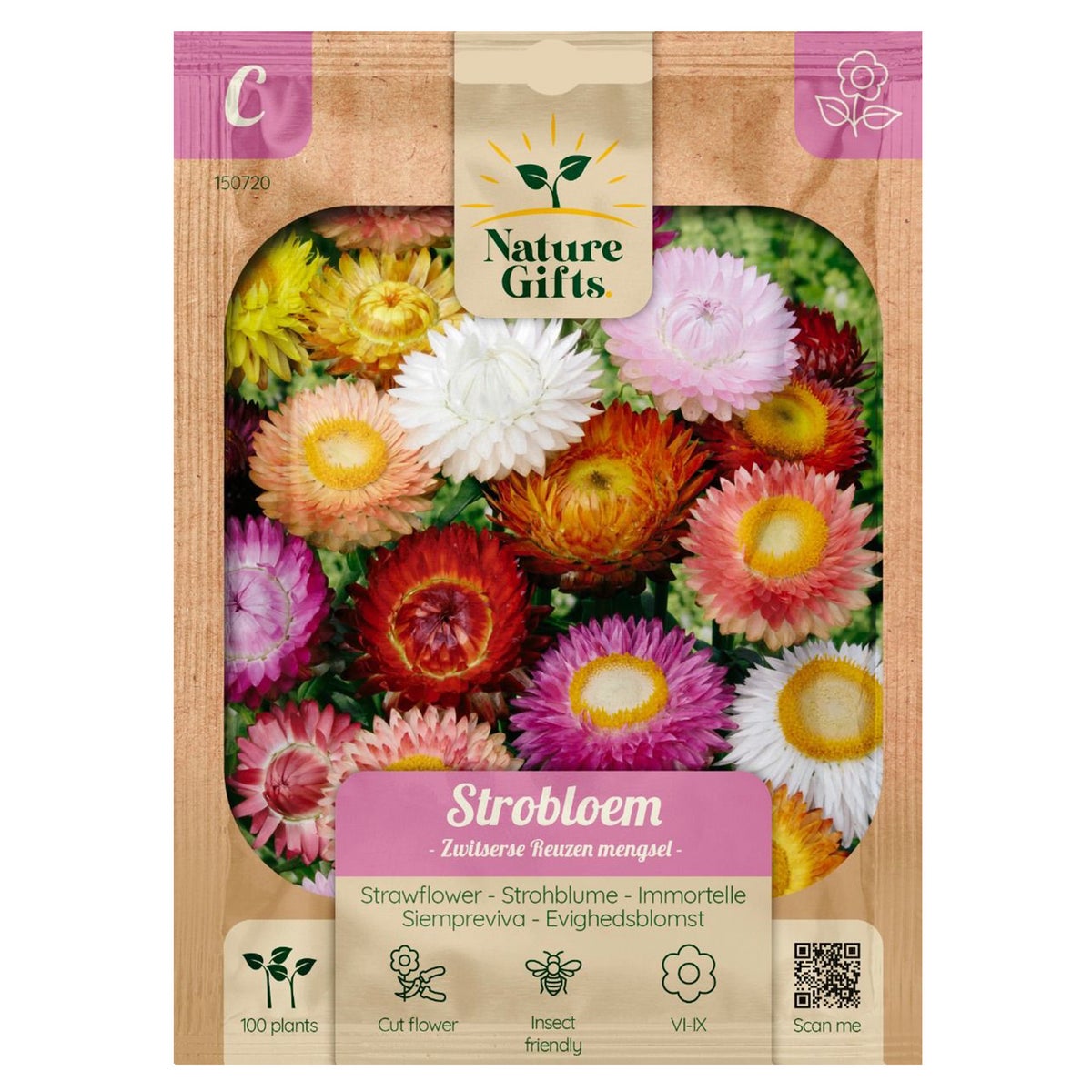 Strobloemen Zwitserse reuzenmix Strobloemen Zwitserse reuzenmix