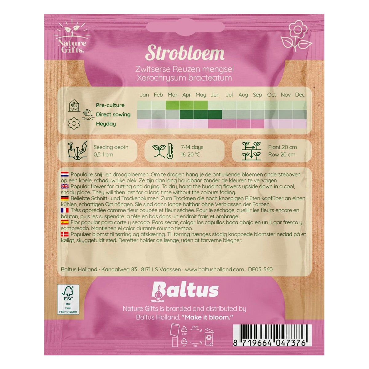Strobloemen Zwitserse reuzenmix Strobloemen Zwitserse reuzenmix