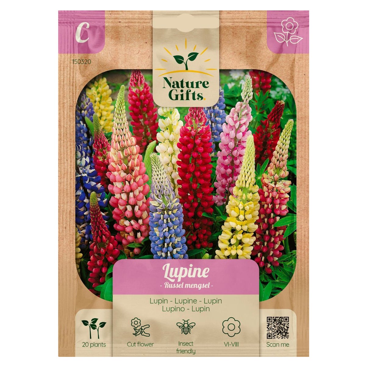 Lupine Russell mix Lupine Russell mix