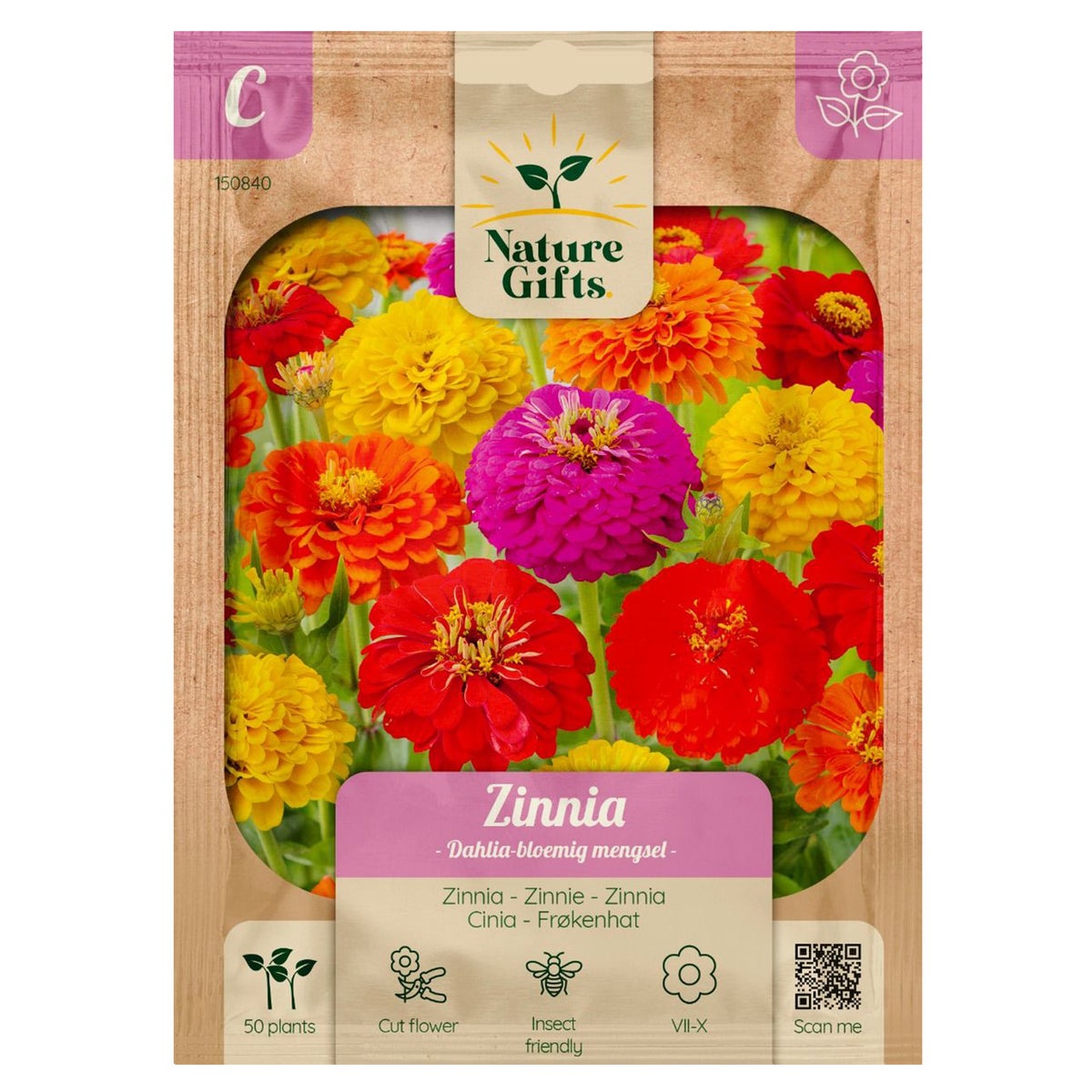 Zinnia Dahlia mix Zinnia Dahlia mix