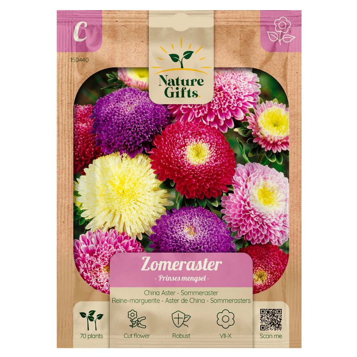 Zomeraster Prinses mix Zomeraster Prinses mix