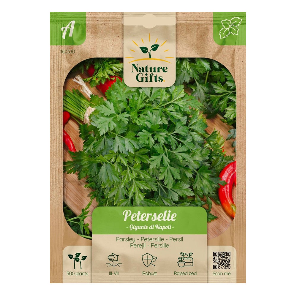 Peterselie Gigante di Napoli Peterselie Gigante di Napoli