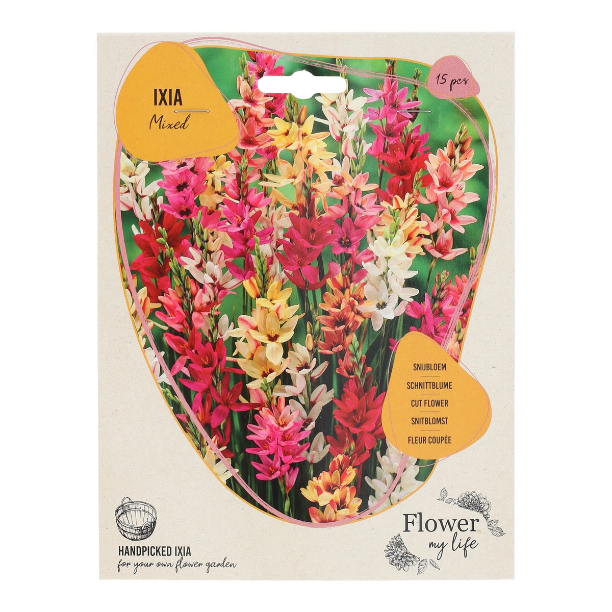 Ixia 15 stuks Ixia 15 stuks