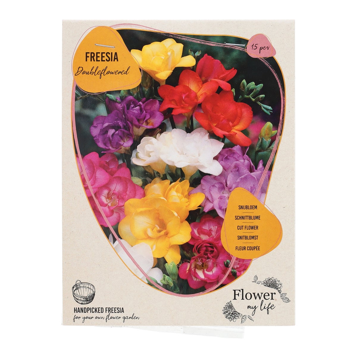 Freesia dubbel mix 15 stuks Freesia dubbel mix 15 stuks