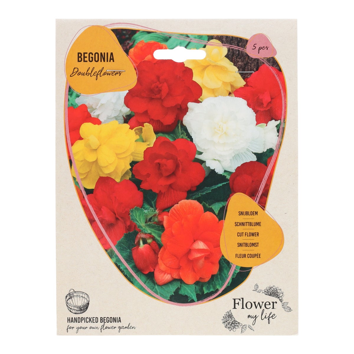 Begonia Dubbel mix 5 stuks Begonia Dubbel mix 5 stuks