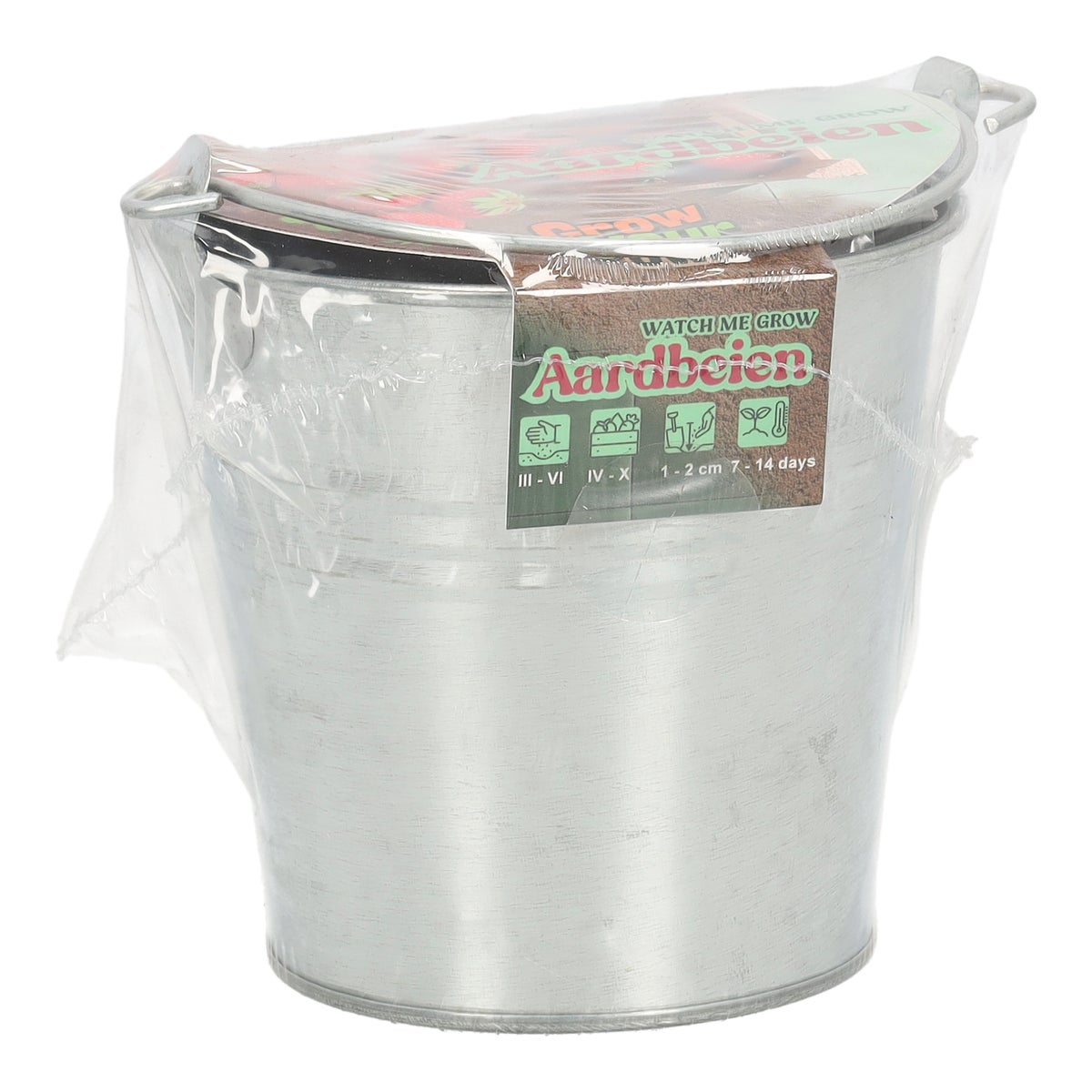 Aardbei in pot Aardbei in pot