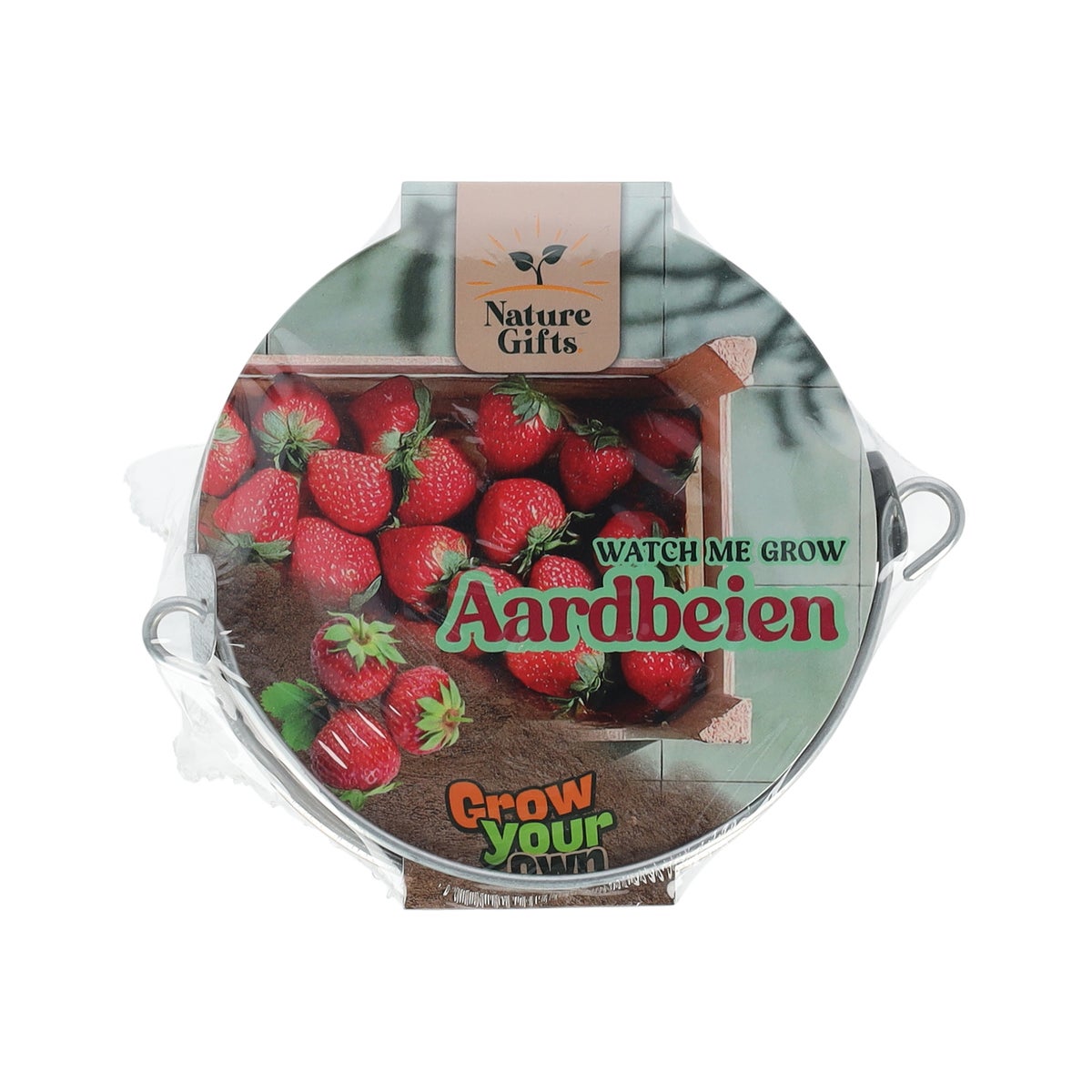 Aardbei in pot Aardbei in pot