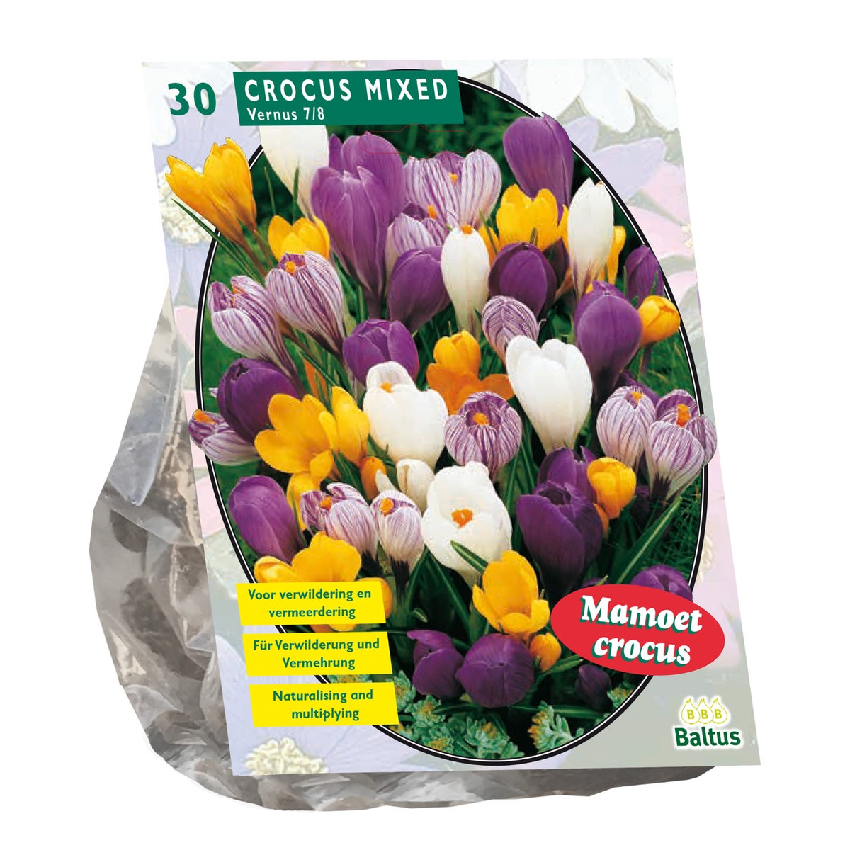 Crocus Grootbloemig mix per 30 Crocus Grootbloemig mix per 30