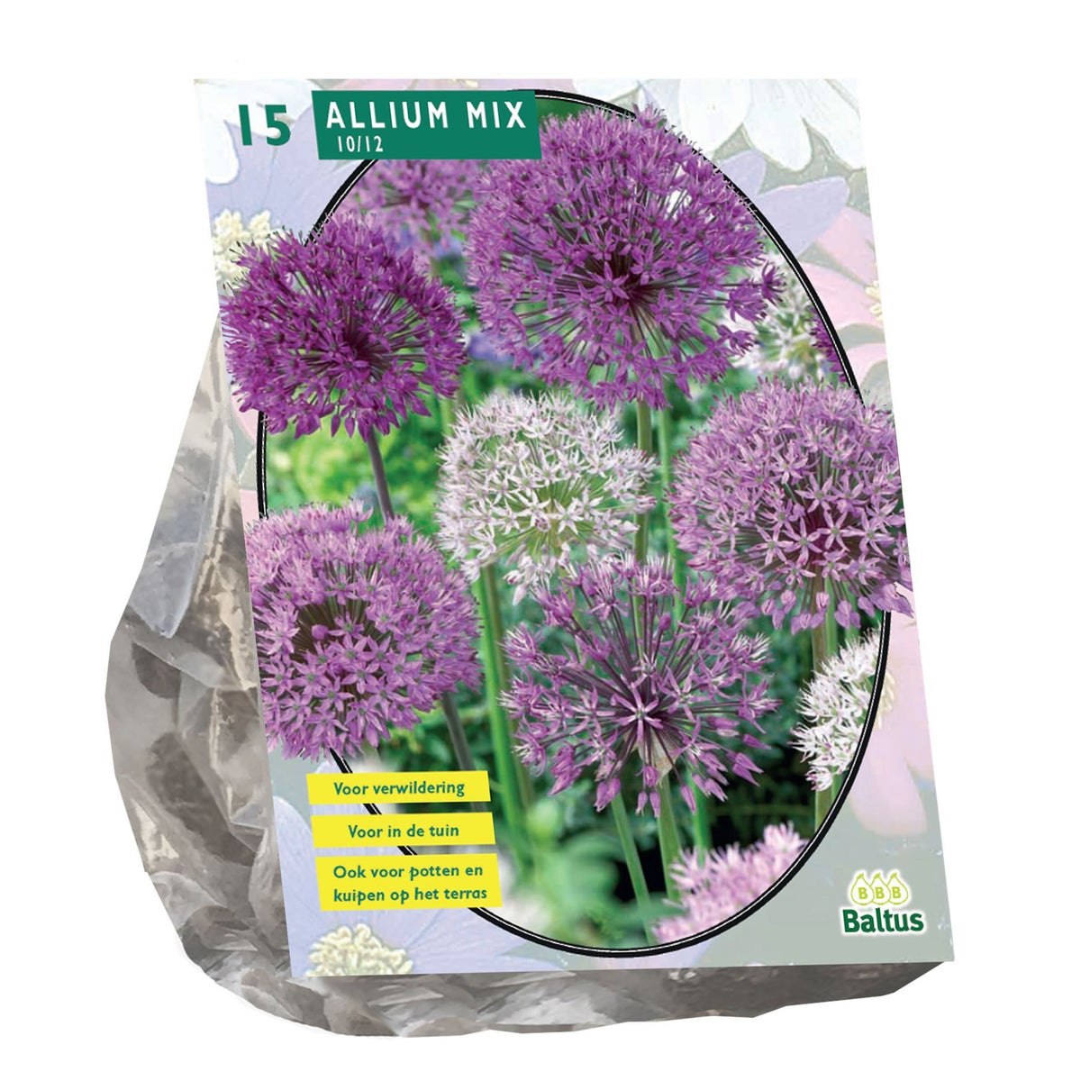 Allium mix Paars Wit per 15 Allium mix Paars Wit per 15