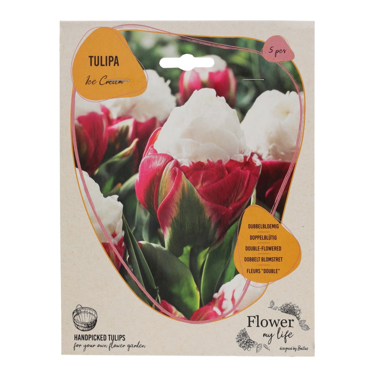 Tulipa ice cream 5 stuks Tulipa ice cream 5 stuks