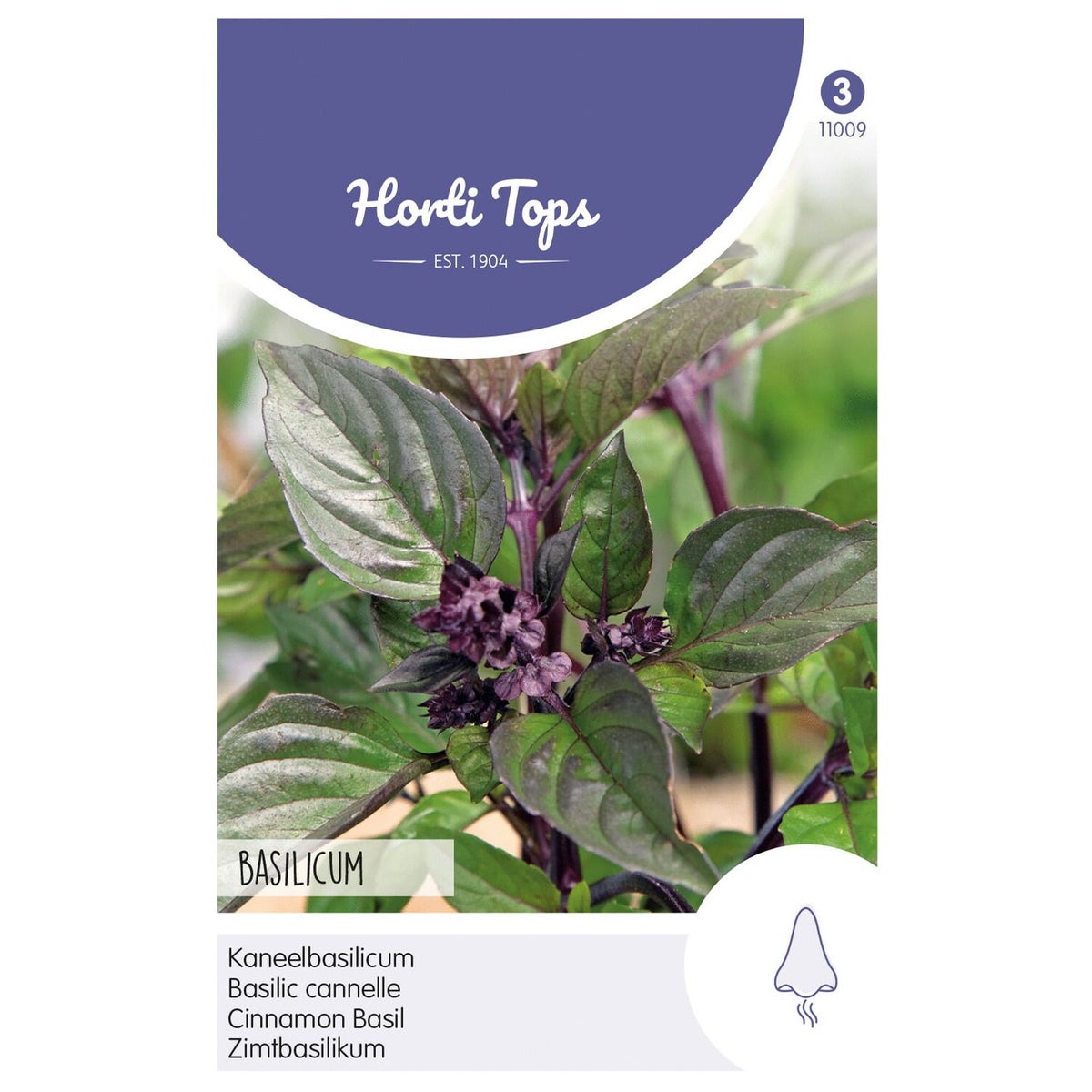 Basilicum Kaneelsmaak Basilicum Kaneelsmaak