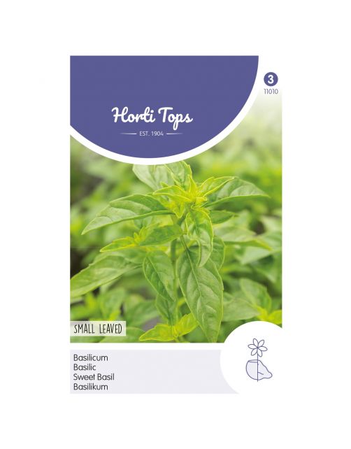 Basilicum fijnbladig zaad Basilicum fijnbladig zaad