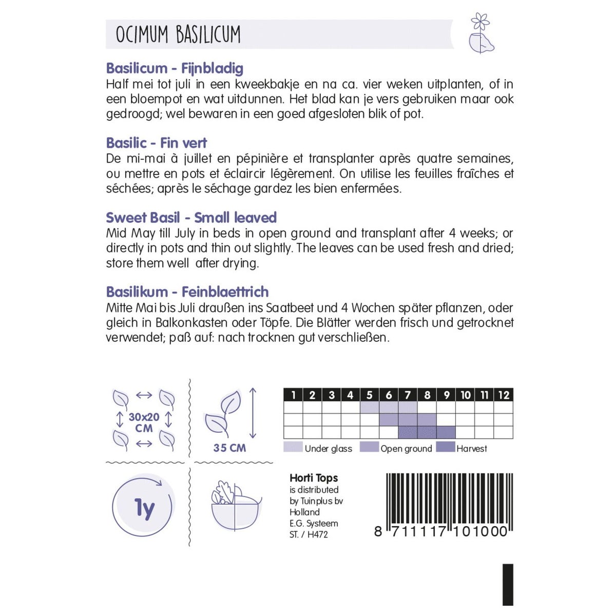 Basilicum fijnbladig zaad Basilicum fijnbladig zaad