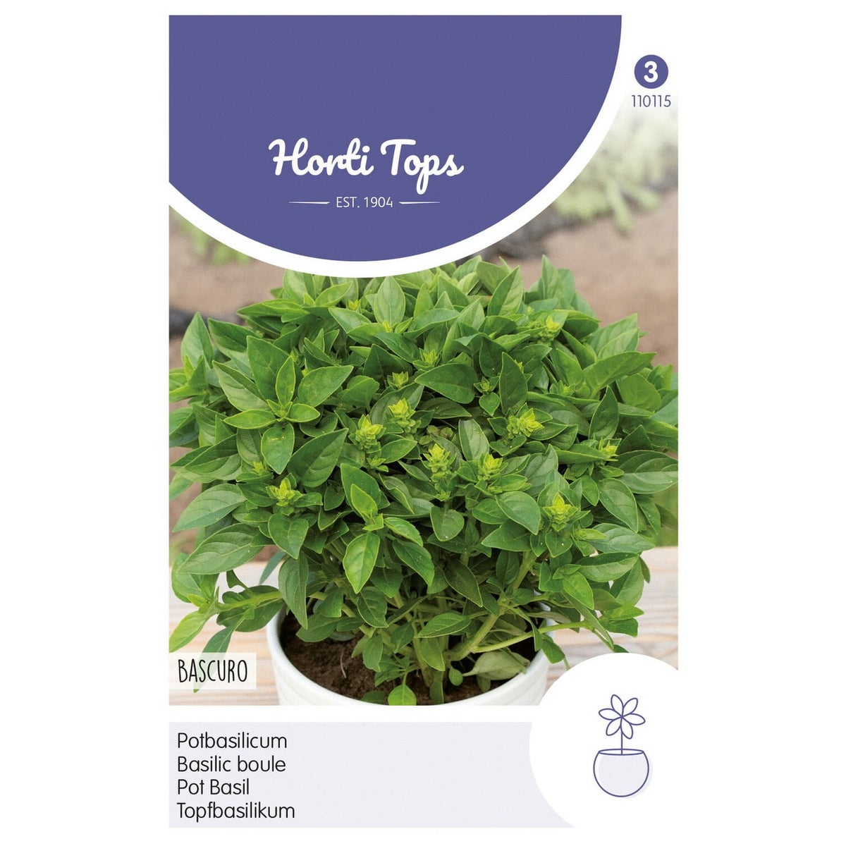 Potbasilicum Bascuro zaad Potbasilicum Bascuro zaad