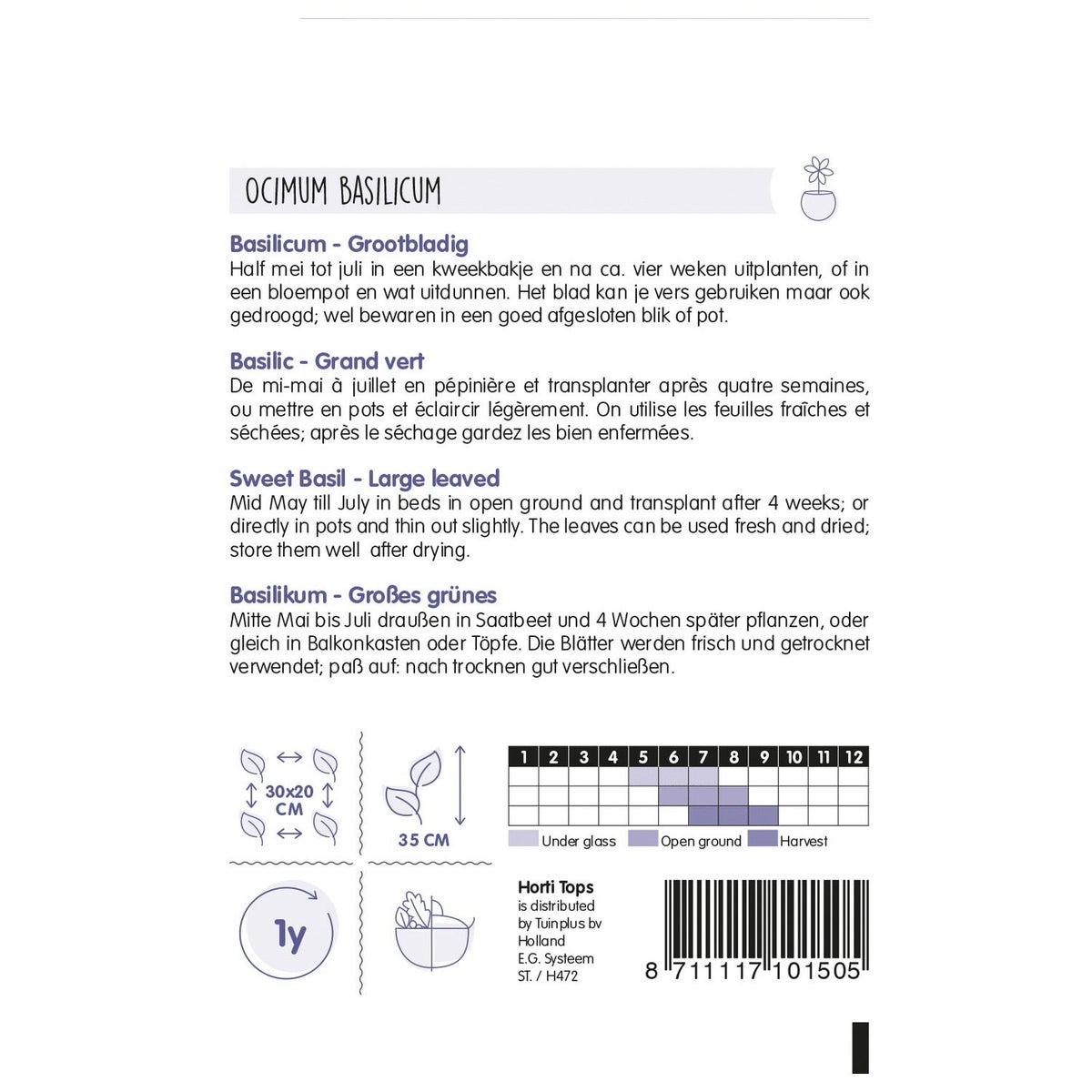 Basilicum grove zaad Basilicum grove zaad