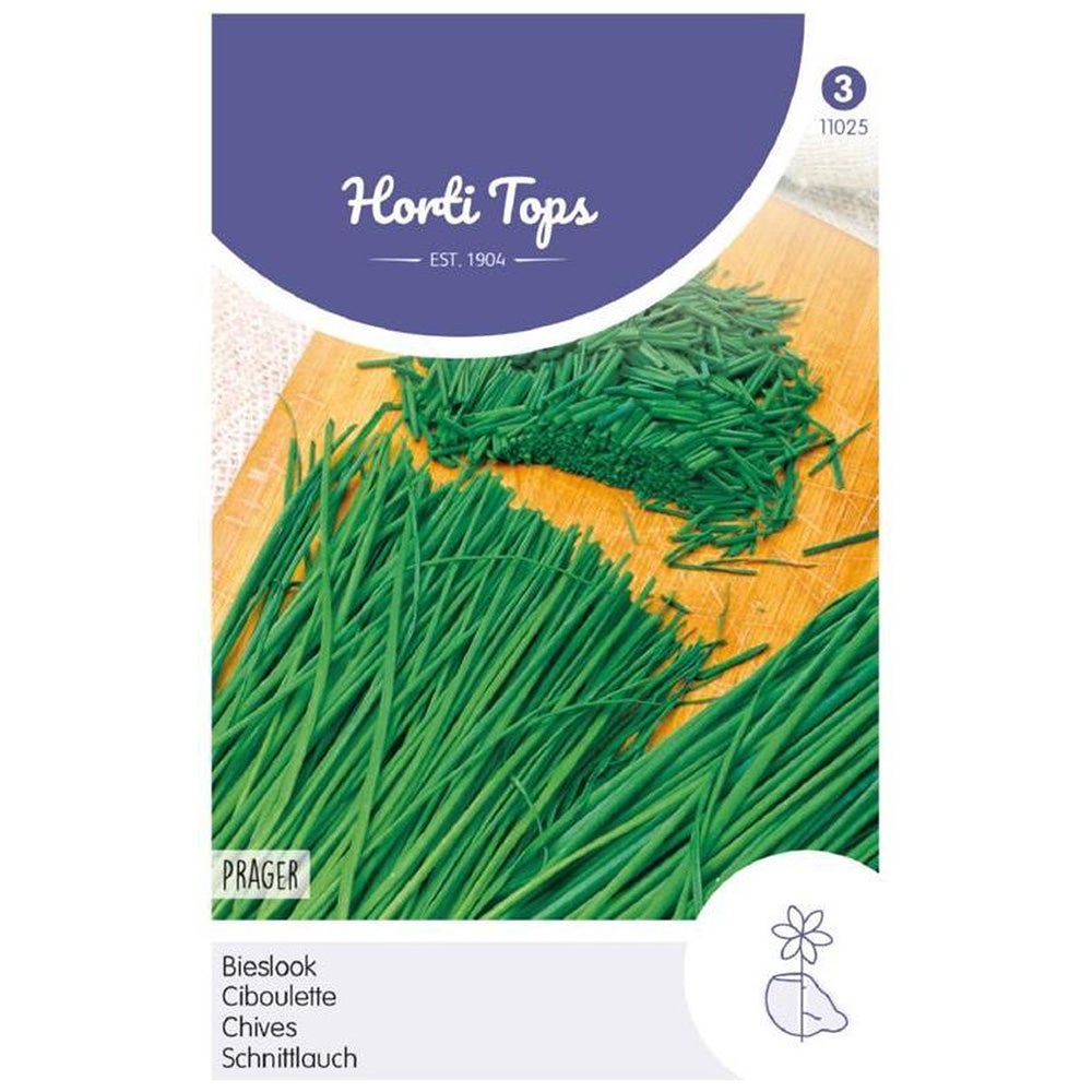 Bieslook prager zaad Bieslook prager zaad