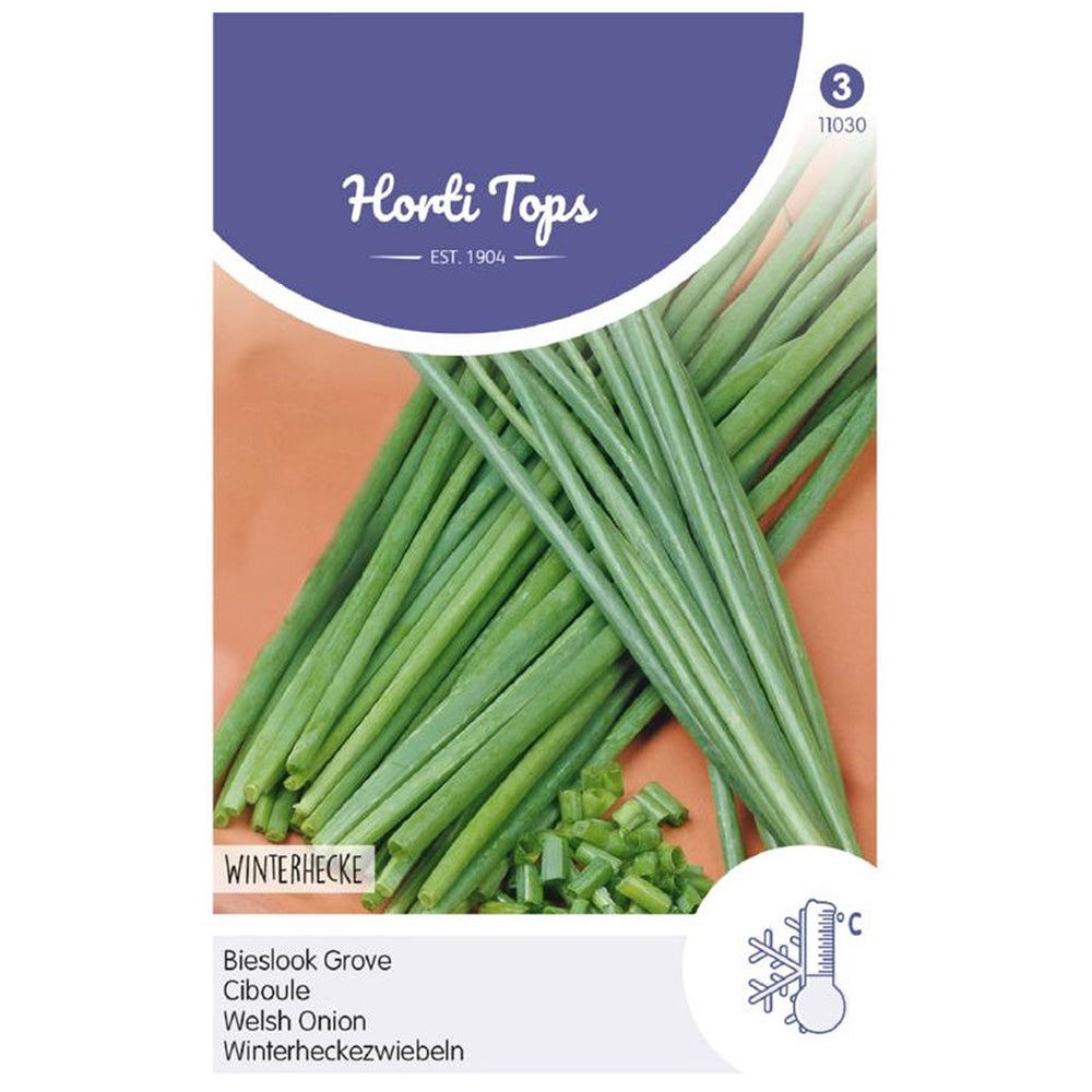 Bieslook grove, zaad Bieslook grove, zaad