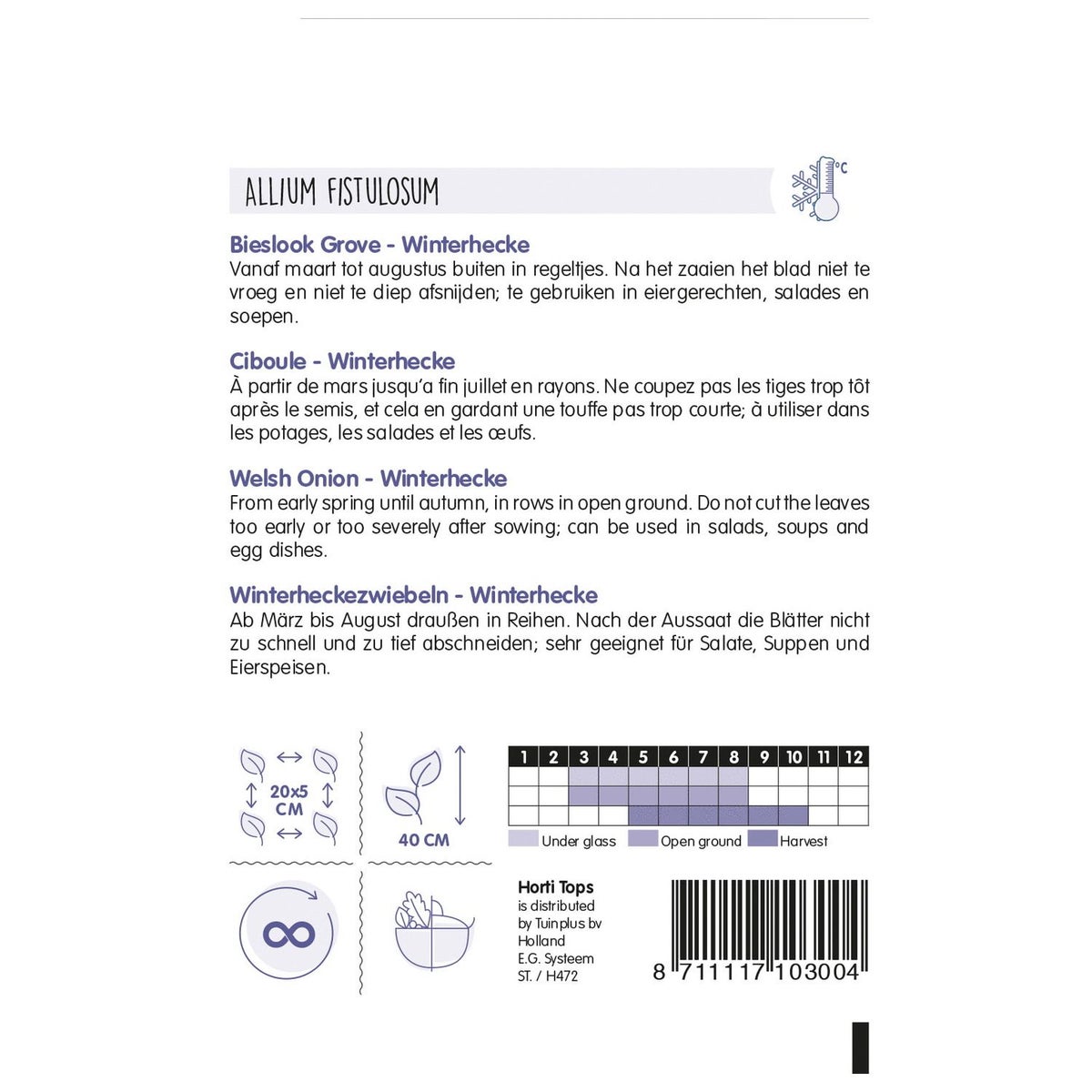 Bieslook grove, zaad Bieslook grove, zaad