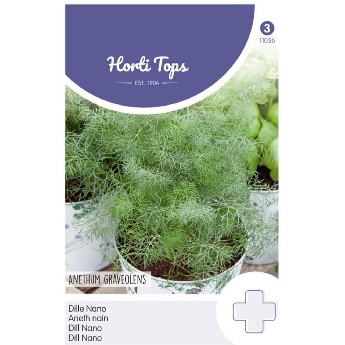 Dille nano zaad Dille nano zaad