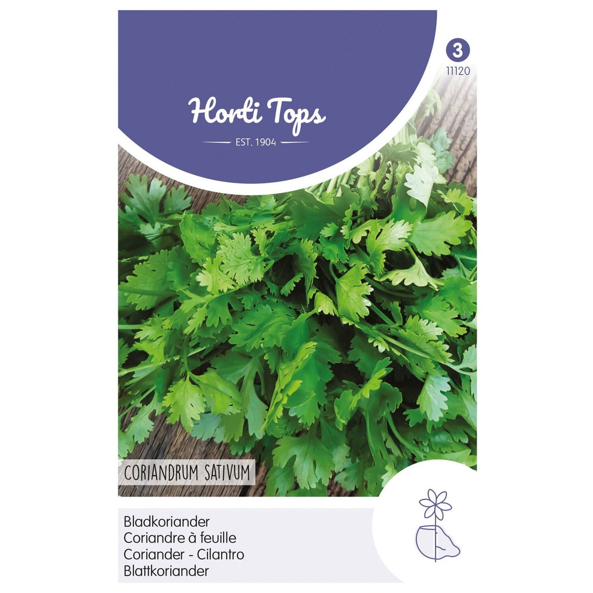 Koriander fijnzadig traagschietend zaad Koriander fijnzadig traagschietend zaad