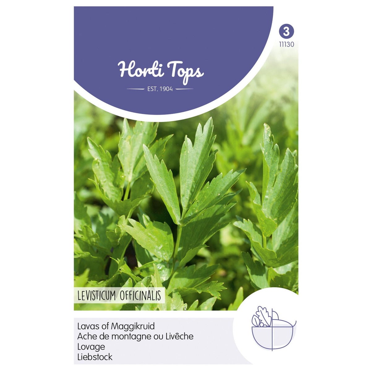 Lavas / maggikruid zaad Lavas / maggikruid zaad