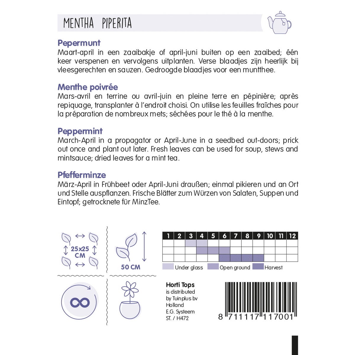 Pepermunt zaad Pepermunt zaad