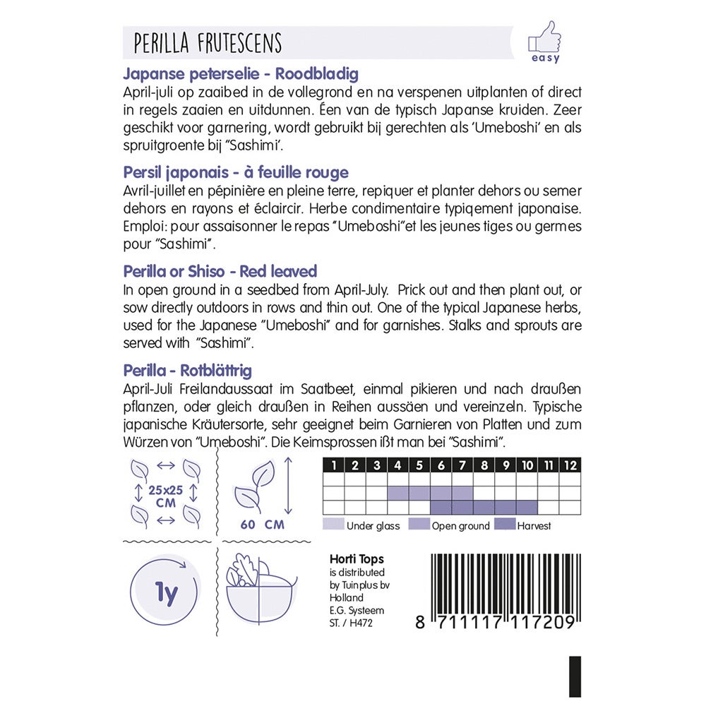 Perilla Shiso paarsbladig zaad Perilla Shiso paarsbladig zaad