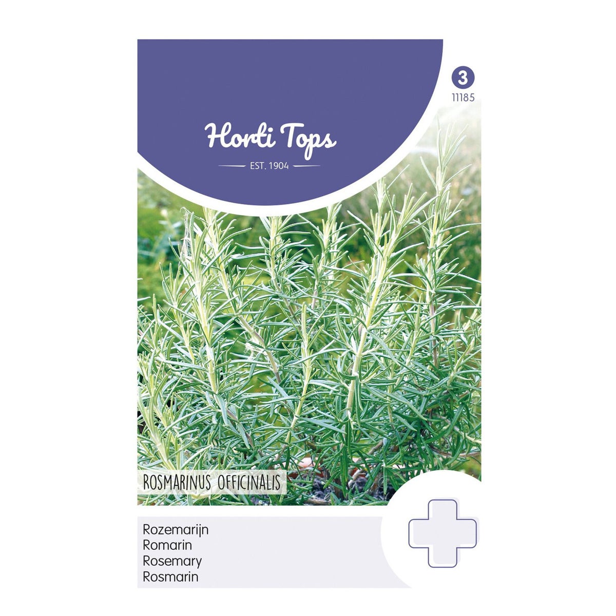 Rozemarijn zaad Rozemarijn zaad