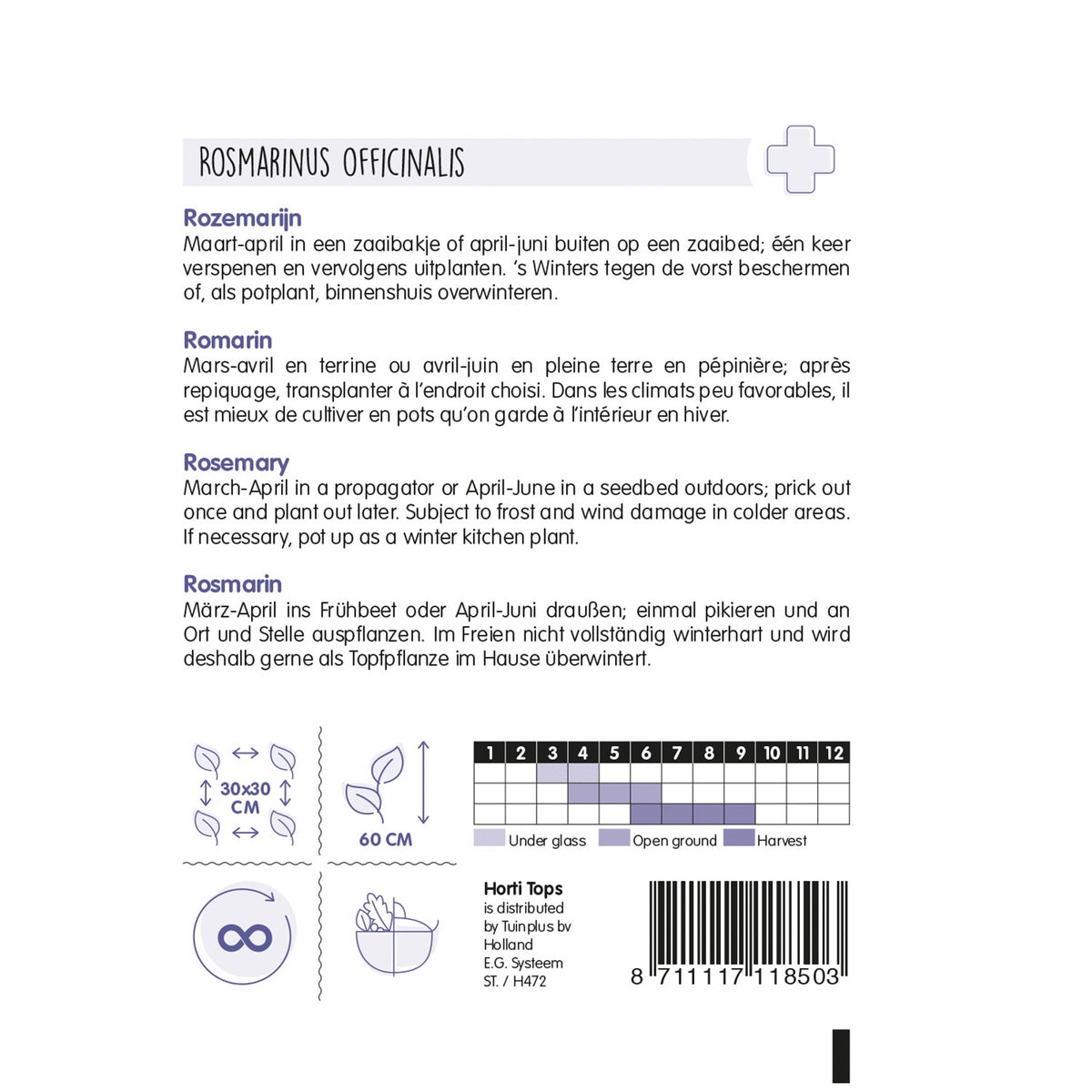 Rozemarijn zaad Rozemarijn zaad