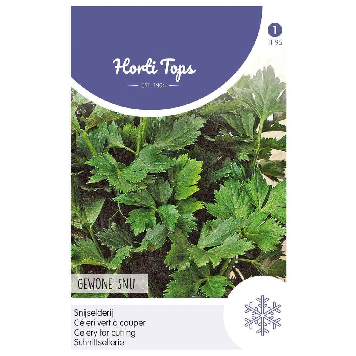 Snijselderij zaad Snijselderij zaad