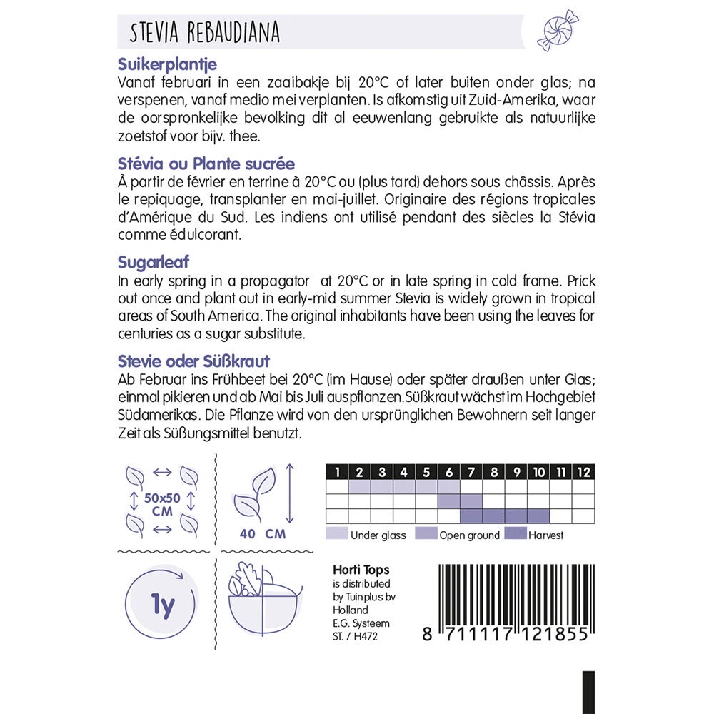Stevia suikerplantje zaad Stevia suikerplantje zaad