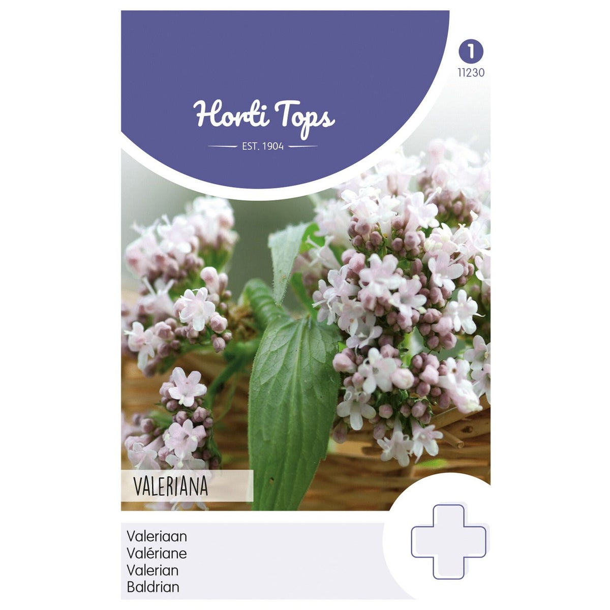 Echte Valeriaan zaad Echte Valeriaan zaad