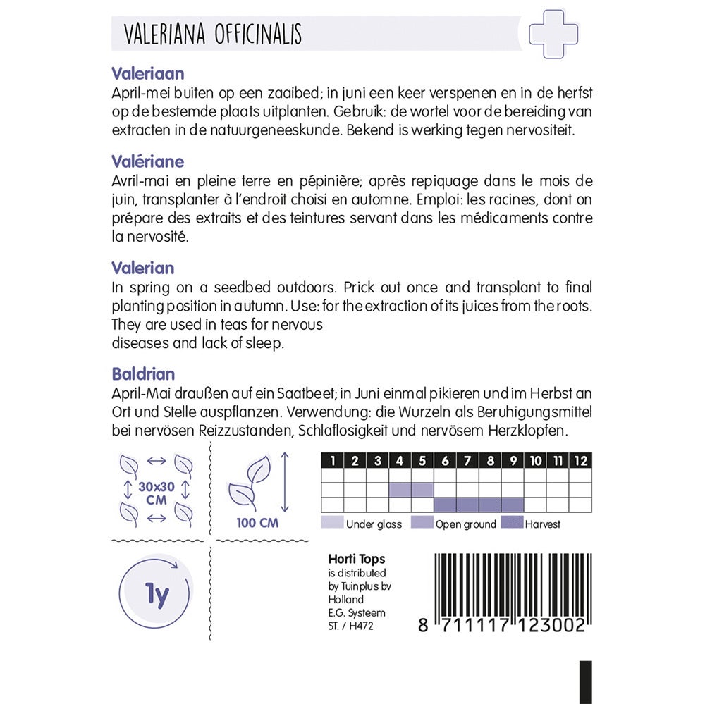 Echte Valeriaan zaad Echte Valeriaan zaad