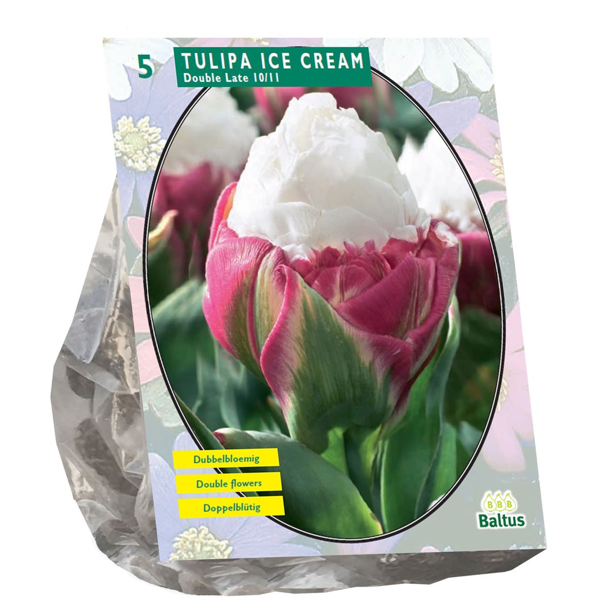 Tulipa Ice Cream bloembollen per 5 Tulipa Ice Cream bloembollen per 5