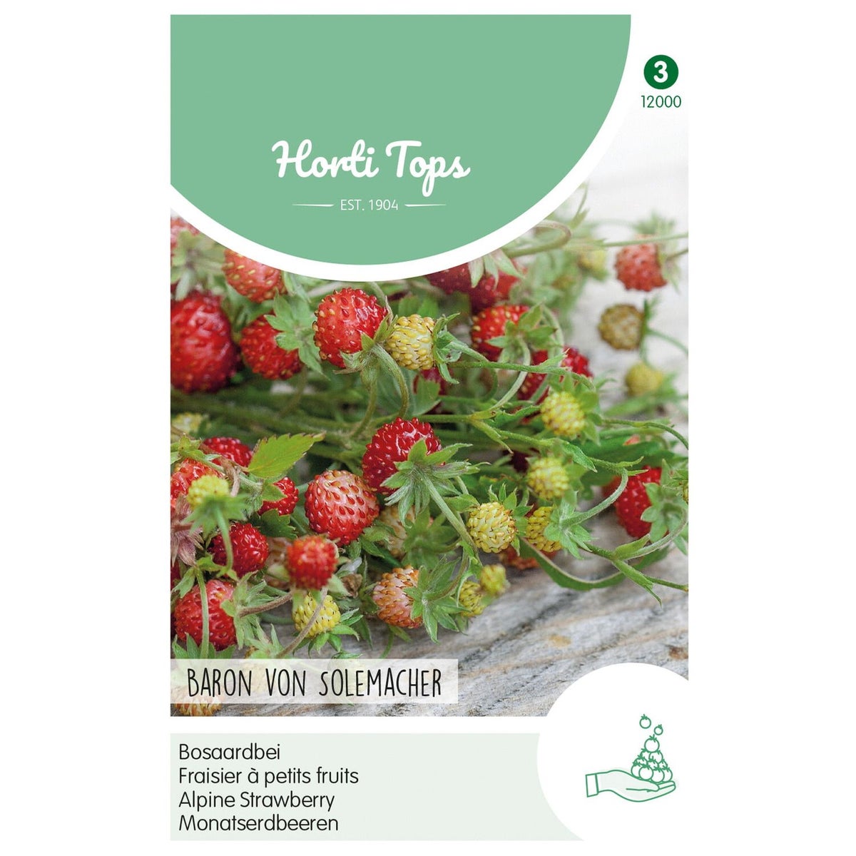 Bosaardbei Baron von Solemacher zaad Bosaardbei Baron von Solemacher zaad