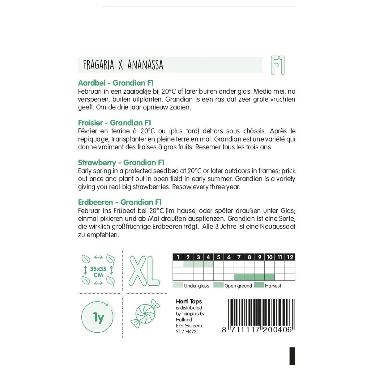 Aardbei Grandian zaad Aardbei Grandian zaad