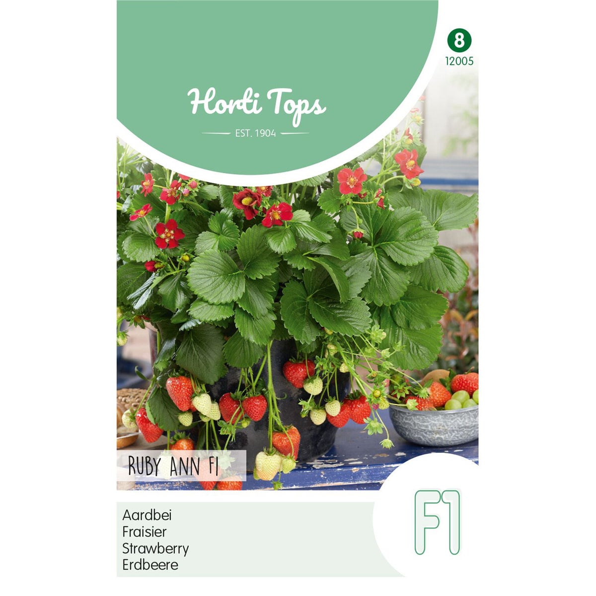 Aardbeien Ruby Ann hangaardbei Aardbeien Ruby Ann hangaardbei