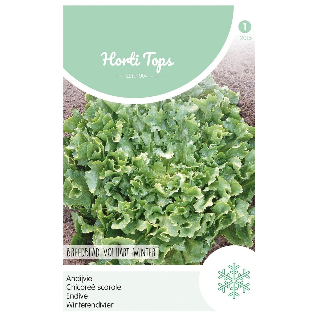 Andijvie breedblad volhart winter Andijvie breedblad volhart winter